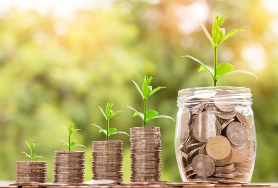 Piles of coins with plants growing on top. Each pile gets bigger to the right.